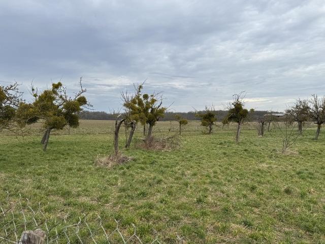Terrain vente à Bû, Eure-et-Loir