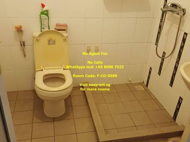 Room for rent