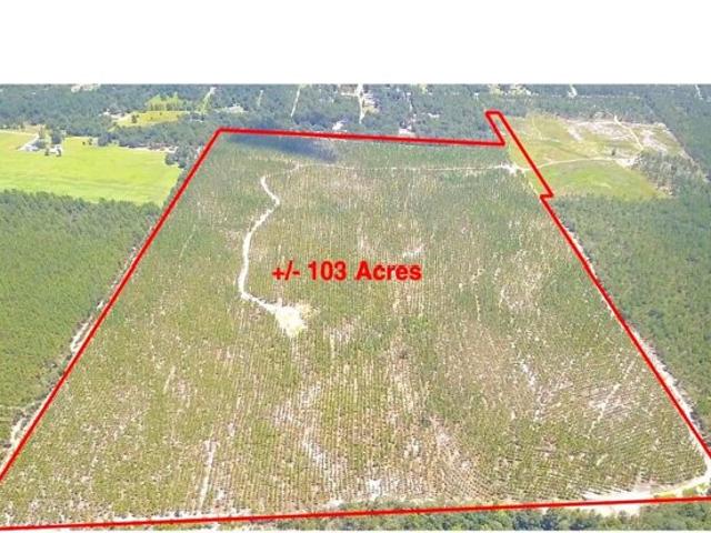 Land for sale in Pelion