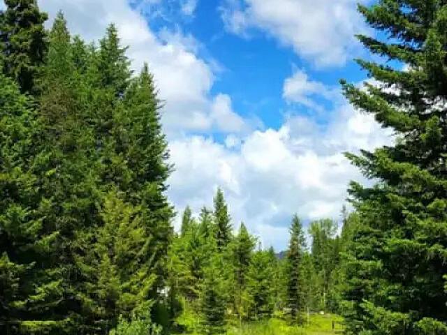 Land for sale in British Columbia