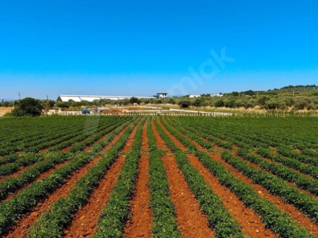 Buca, İzmir içerisinde satılık Arsa