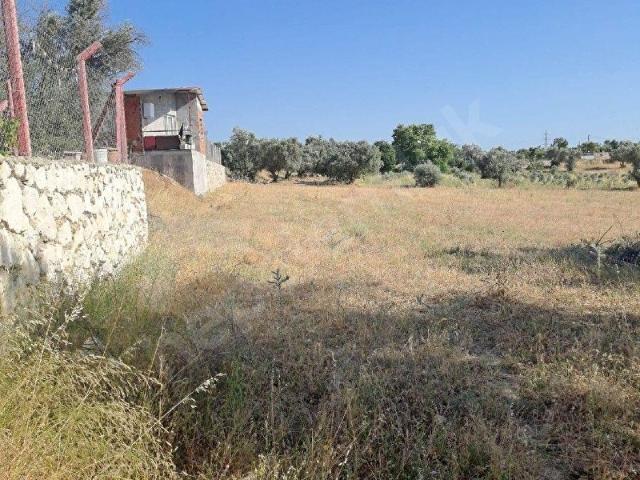 Buca, İzmir içerisinde satılık mülk