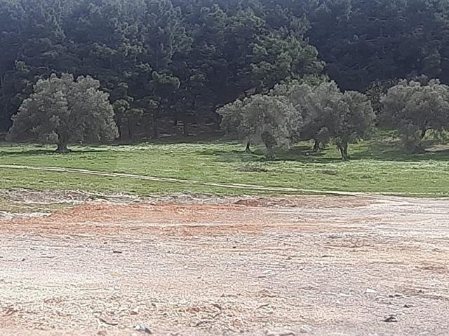 Buca, İzmir içerisinde satılık mülk