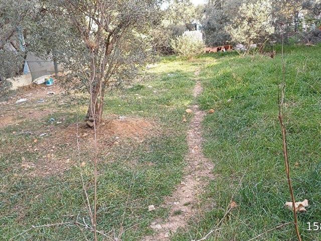 Buca, İzmir içerisinde satılık Arsa