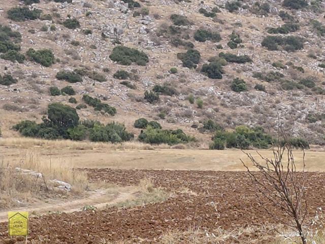 Bucak, Burdur içerisinde satılık Arsa