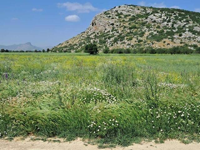 Bucak, Burdur içerisinde satılık Arsa