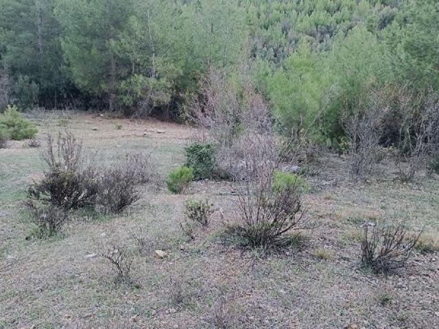 Bucak, Burdur içerisinde satılık mülk
