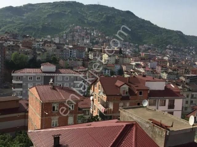 Ordu, Altınordu içerisinde kiralık mülk