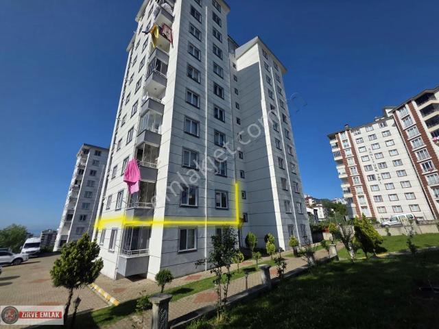 Ordu içerisinde kiralık mülk