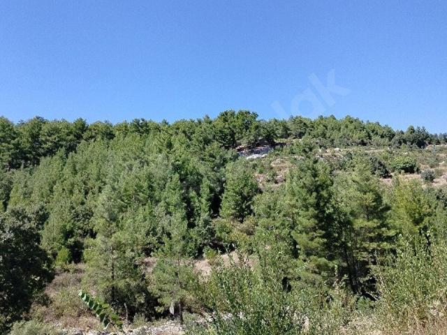 Bucak, Burdur içerisinde satılık Arsa
