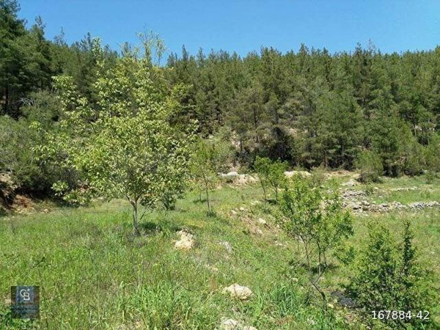 Bucak, Burdur içerisinde satılık Arsa