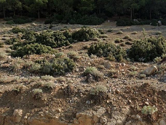 Bucak, Burdur içerisinde satılık Arsa