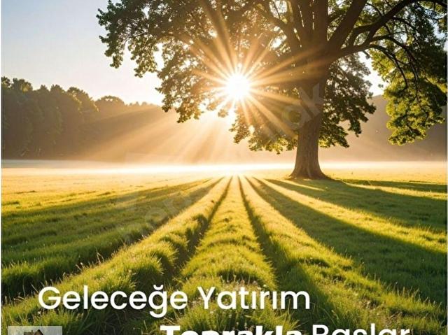 Efeler Mahallesi, Buca içerisinde satılık mülk