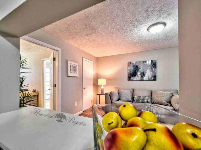 Apartment for rent in Cherokee Hills, Johnson City
