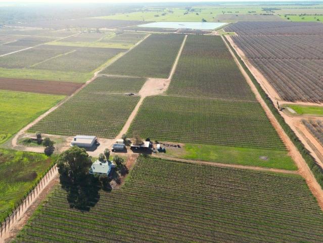 Cottage for sale in Goodnight, New South Wales