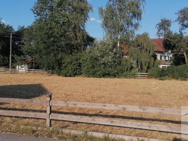 Immobilie kaufen in Buchkirchen, Oberösterreich