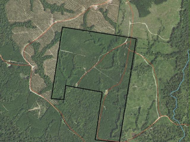 Land for sale in Bronson, Texas