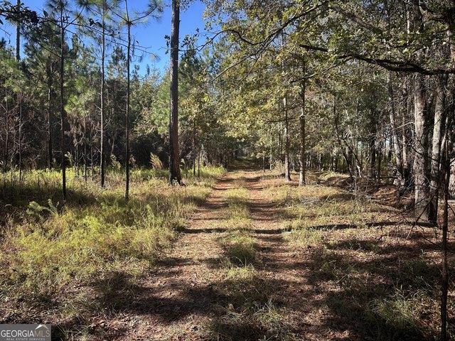 Land for sale in Screven, Georgia