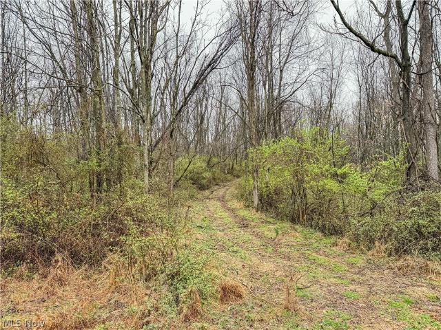 Land for sale in Frazeysburg, Ohio