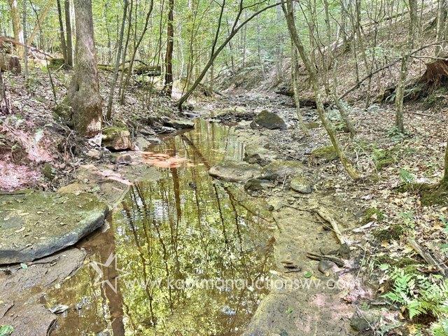 Land for sale in Bomont, West Virginia