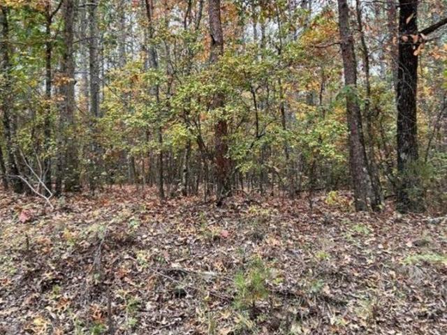Land for sale in Vernon, Alabama