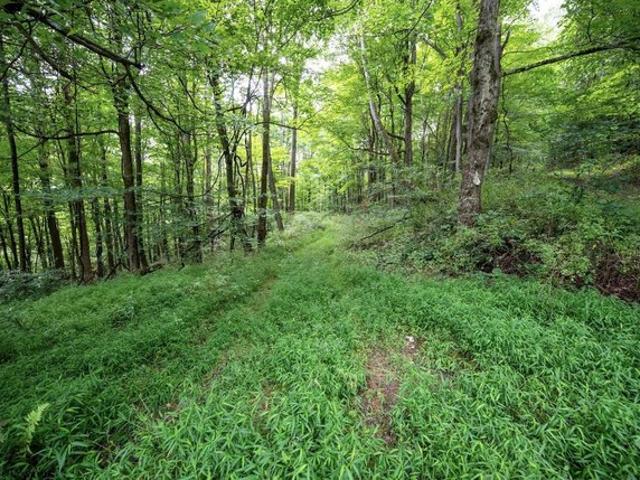 Farm for sale in Terra Alta, West Virginia