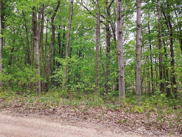 Land for sale in Clare, Michigan