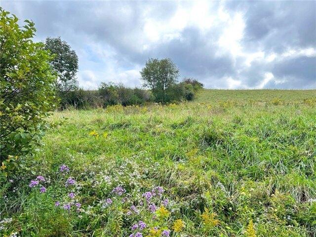 Land for sale in Fly Creek
