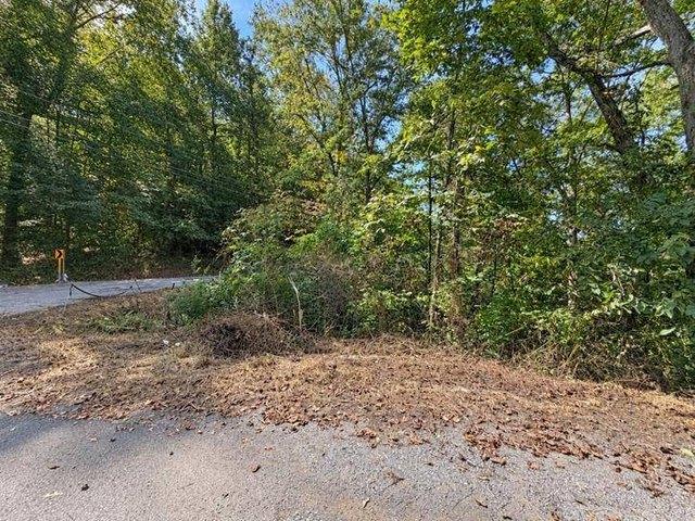Land for sale in Tornado, West Virginia