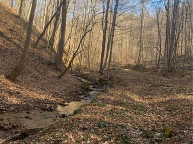 Land for sale in Sutton, West Virginia