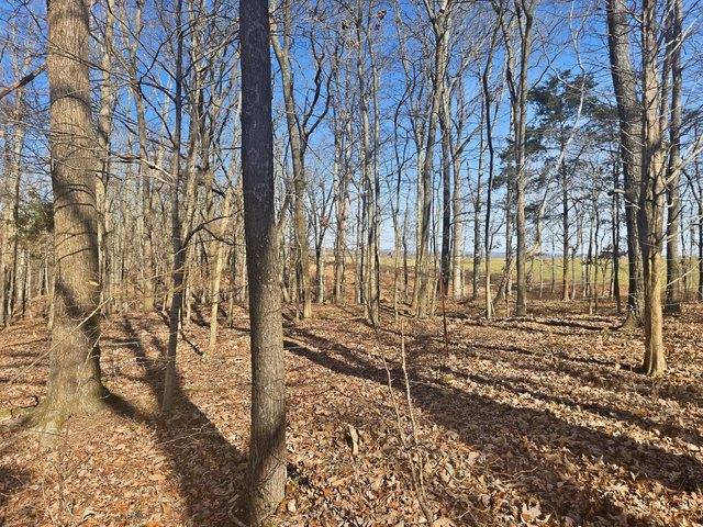 Land for sale in Tennessee