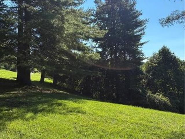 Land for sale in Alleghany, North Carolina