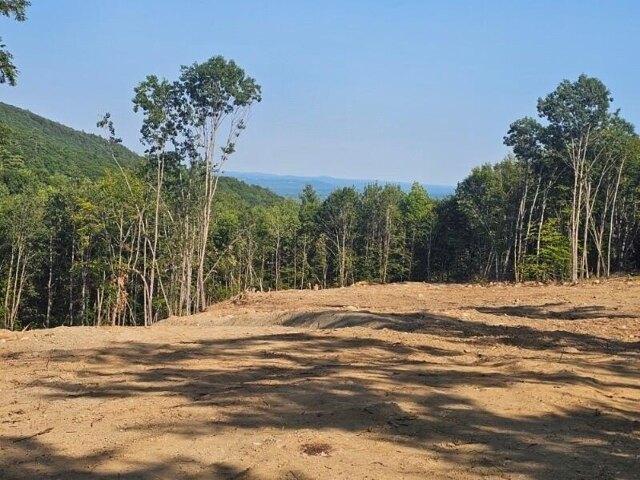 Land for sale in Buckfield, Maine
