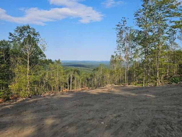 Land for sale in Buckfield, Oxford County