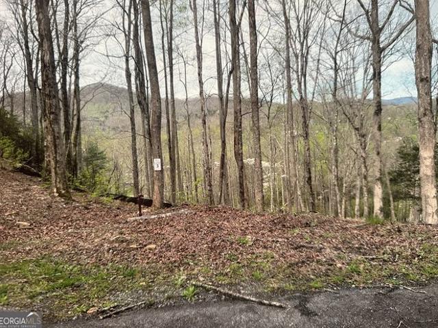 Land for sale in Hiawassee, Towns County