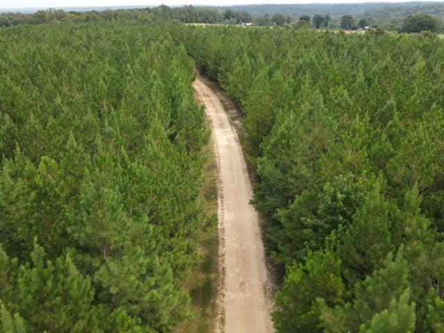 Land for sale in Jackson, Alabama
