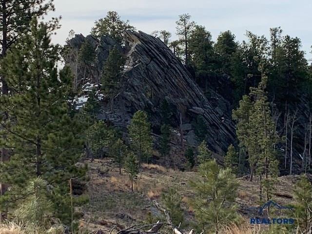 Land for sale in Custer, South Dakota