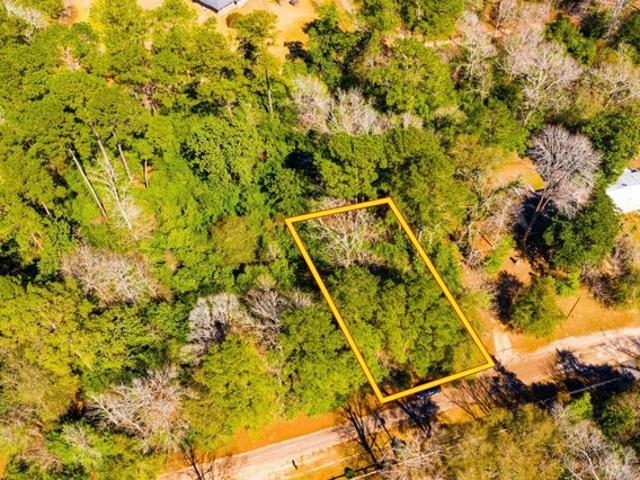 Land for sale in Ivanhoe, Texas