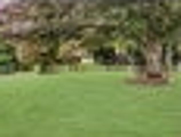 House for rent in Awhitu