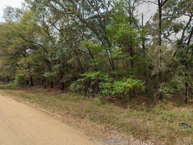Land for sale in Interlachen, Putnam County
