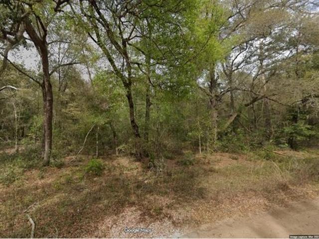 Land for sale in Interlachen, Putnam County