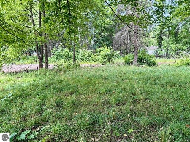 Land for sale in Elk Rapids, Michigan