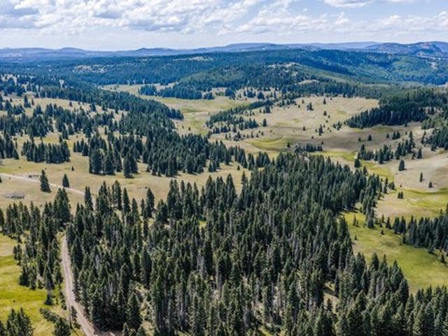 Farm for sale in Chama, New Mexico