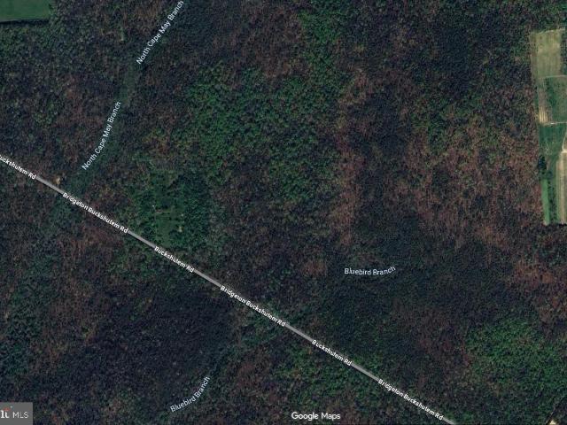 Land for sale in Cedarville, New Jersey