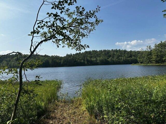 Land for sale in Bucksport, Maine
