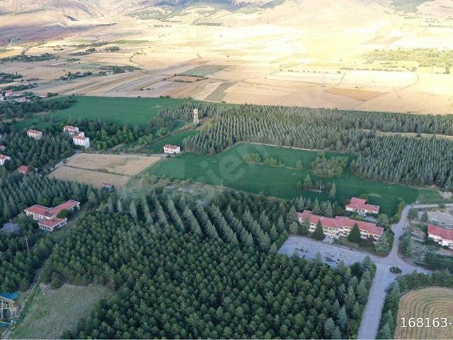 Bolvadin, Afyonkarahisar içerisinde satılık Arsa