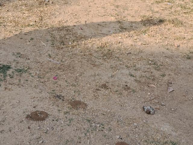 Land for sale in Alwar, Rajasthan