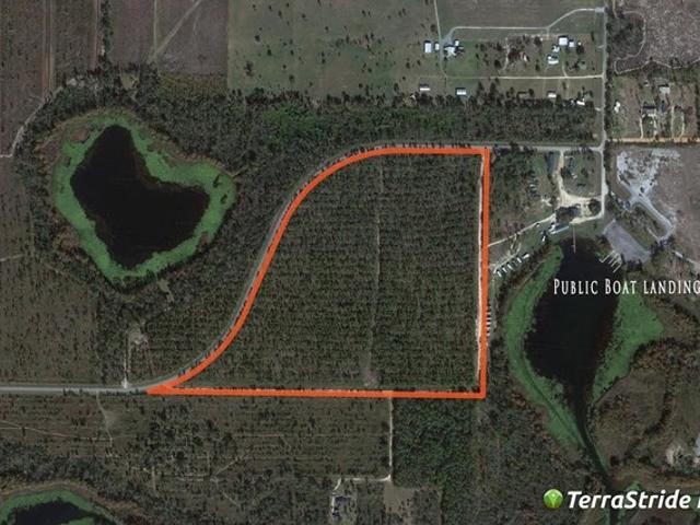 Farm for sale in Donalsonville, Georgia