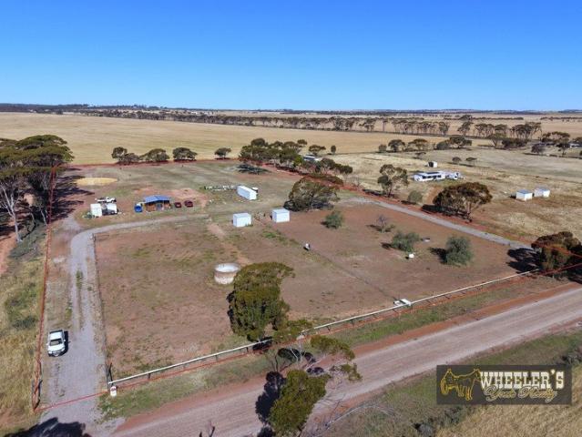 House for sale in Kondinin, Shire Of Kondinin