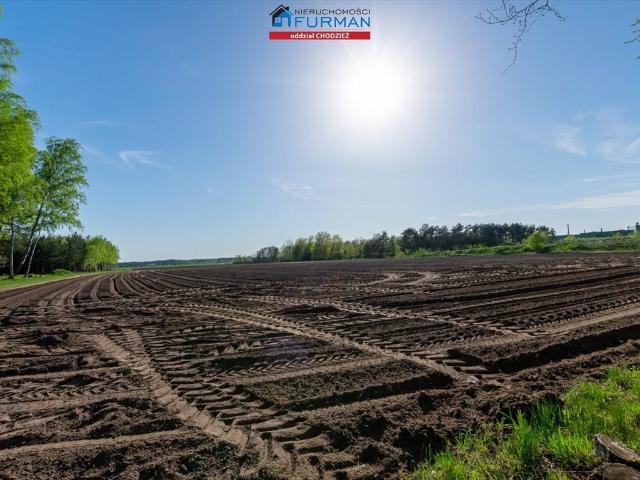 Grunt na sprzedaż w Budzyń, Wielkopolskie